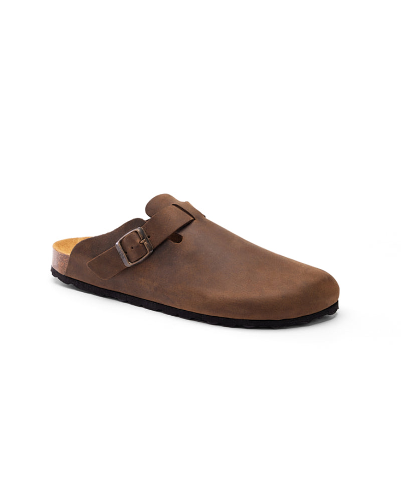CALIDA - CLOG.