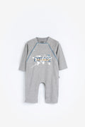 COLOR::Gray