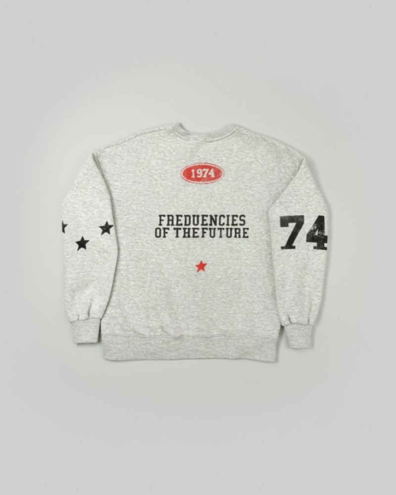 Grey Vintage Collegiate Box Fit Sweatshirt (1974)