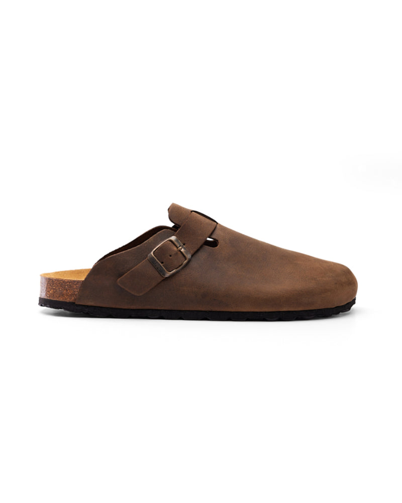 CALIDA - CLOG.