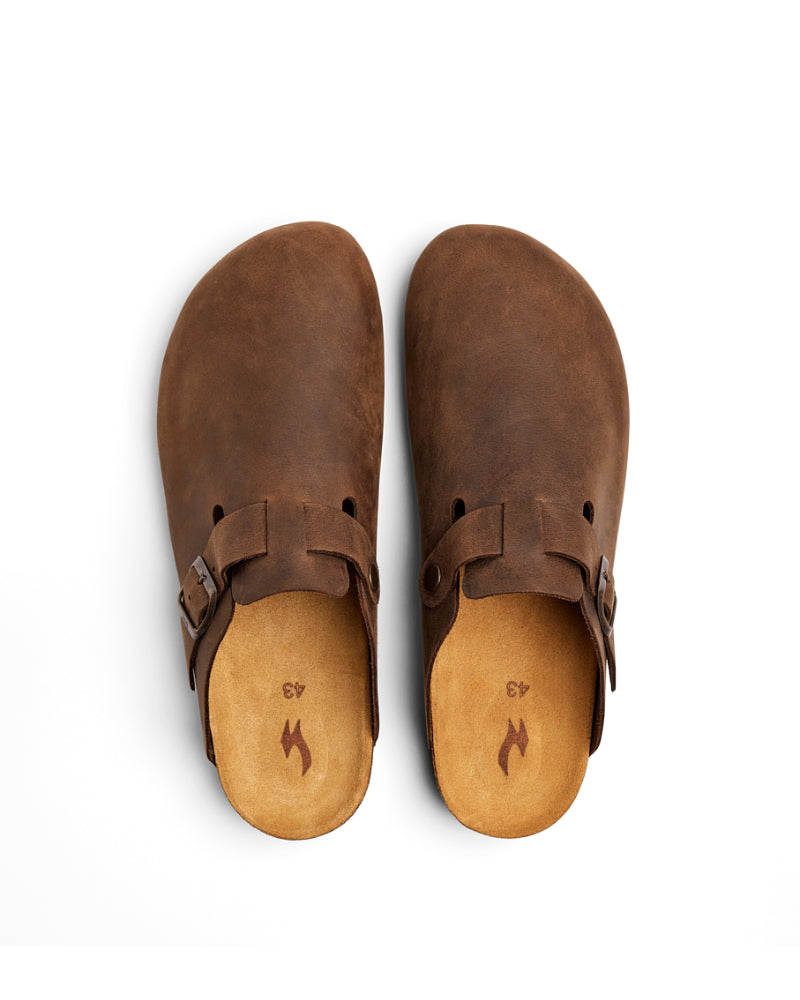 CALIDA - CLOG.
