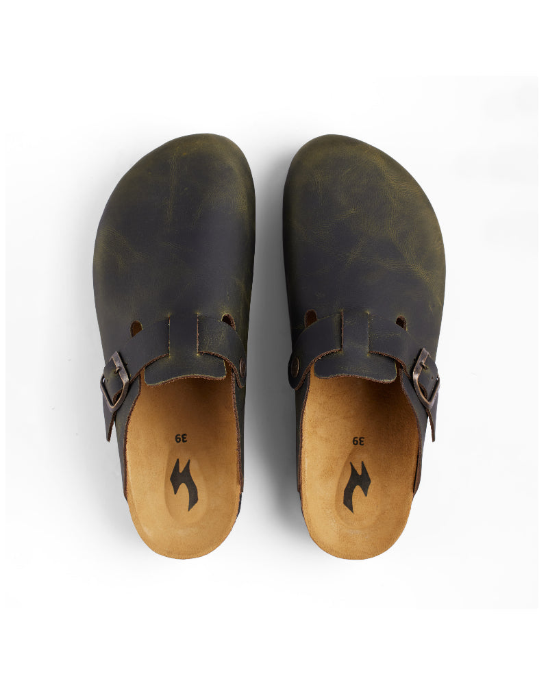 CALIDA-ANTIGUA - CLOG.