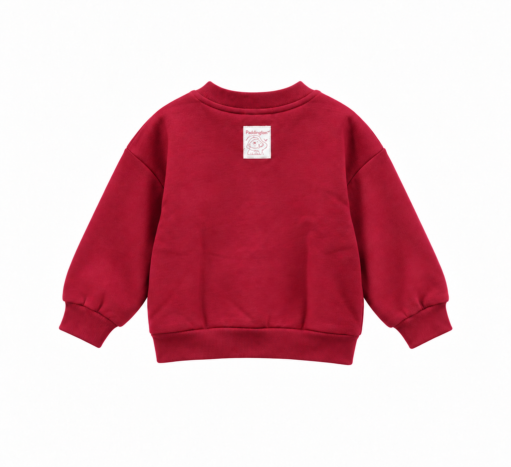 Kids' Bear Sweat Set with Panelled Trousers