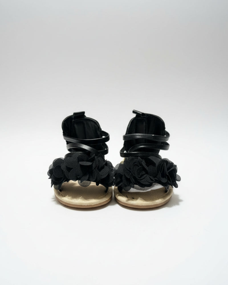 COLOR::Black