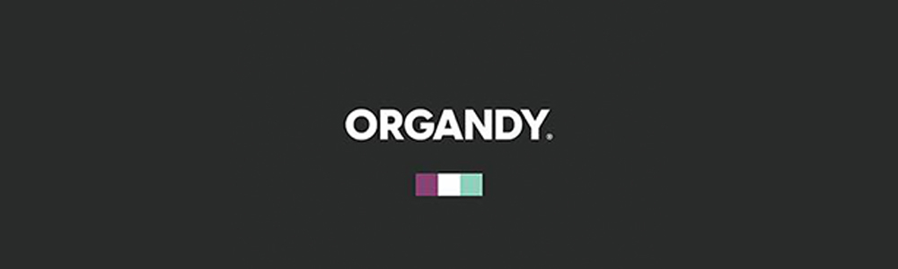Company Banner