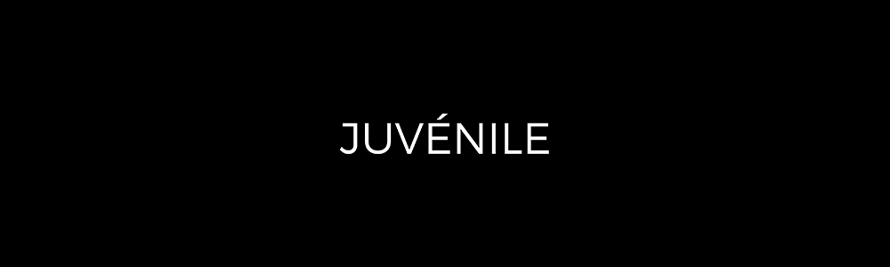 Company Banner