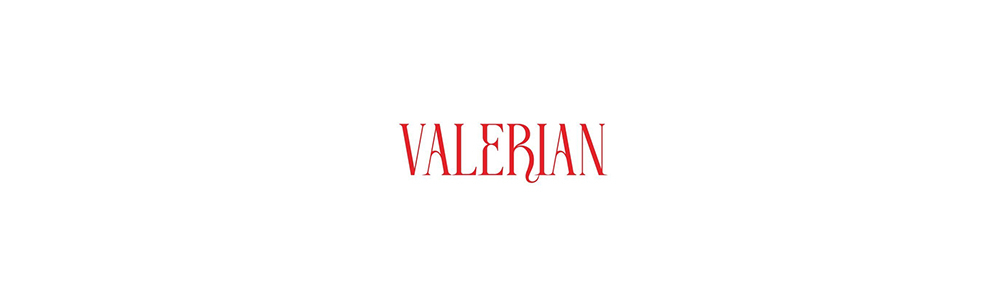 Company Banner