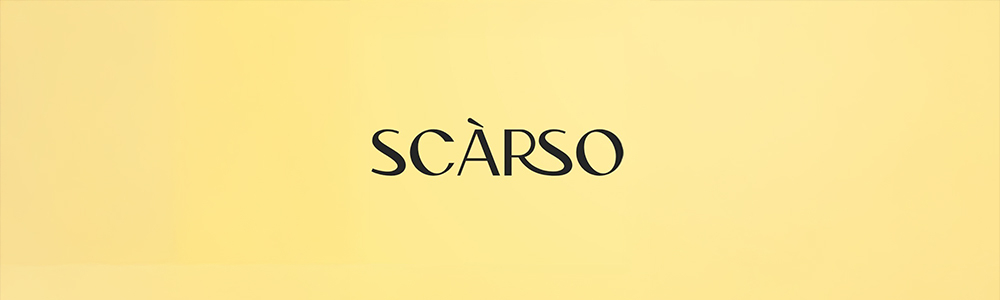 Company Banner
