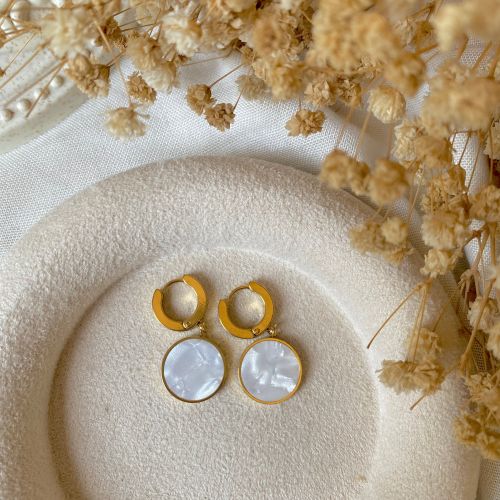 Classic Style Earrings