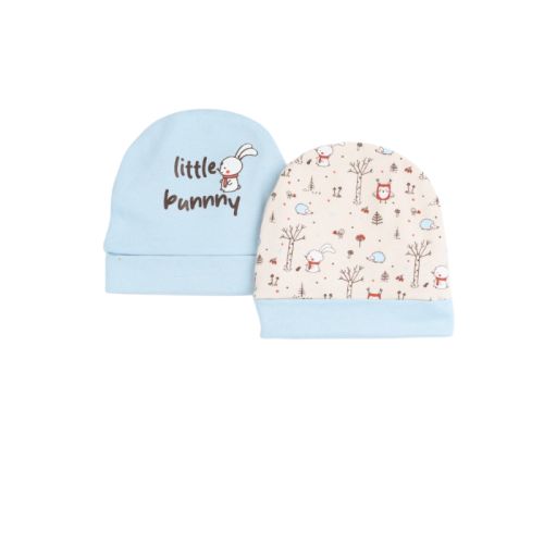 Printed Baby Baby Hats Pack Of 2