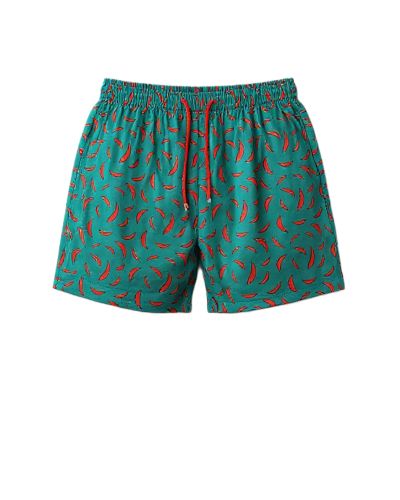 Spicy Route Swim Short