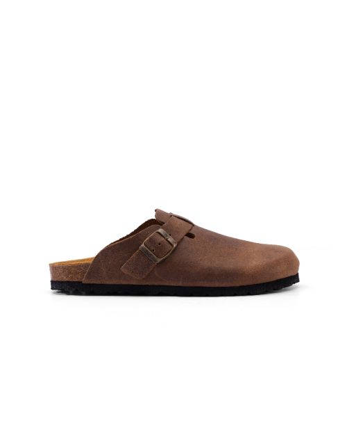 CALIDA-ANTIGUA - CLOG.