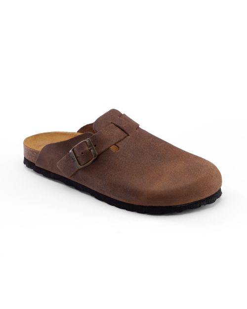 CALIDA-ANTIGUA - CLOG.