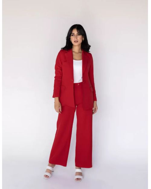 Coral Red Wide-Leg Straight Mid Pants