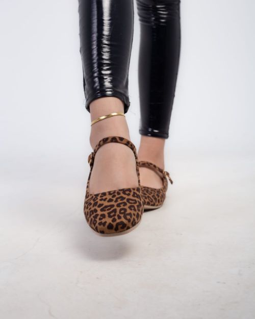 Ballerina tiger-Tiger-37