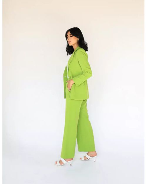 Green Apple Wide-Leg Straight Mid Pants-M