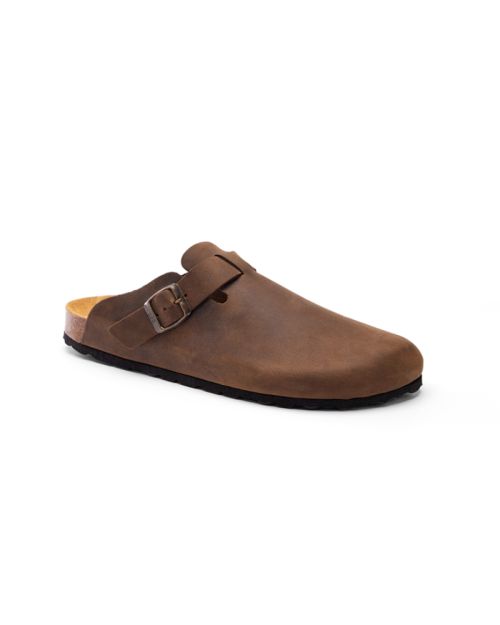CALIDA - CLOG.