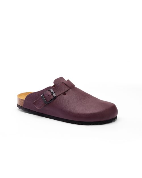 CALIDA - CLOG.