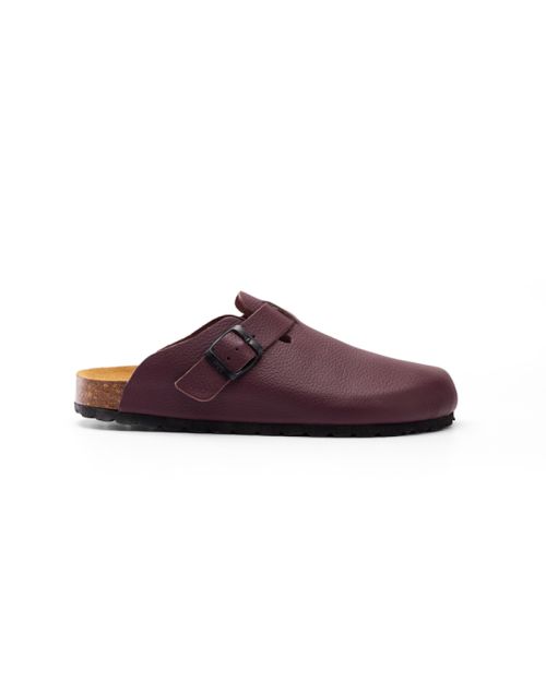 CALIDA - CLOG.