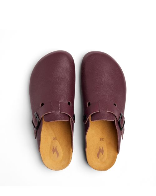 CALIDA - CLOG.-36