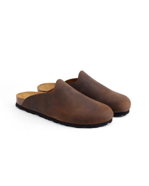 CALIDA-RAPIDA – CLOG-36