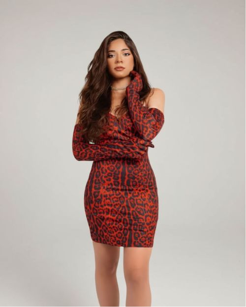 Red Leopard Dress