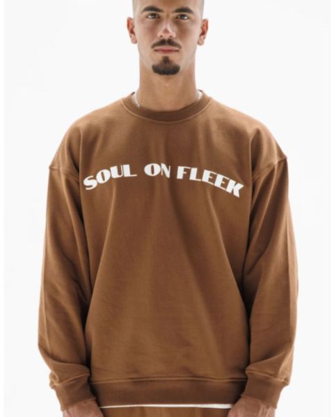 Men’s Brown Graphic Sweatshirt